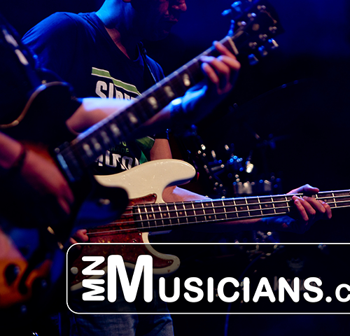 One Year Listing - For Musician, Band, MC, DJ, Producer, or Dancer
