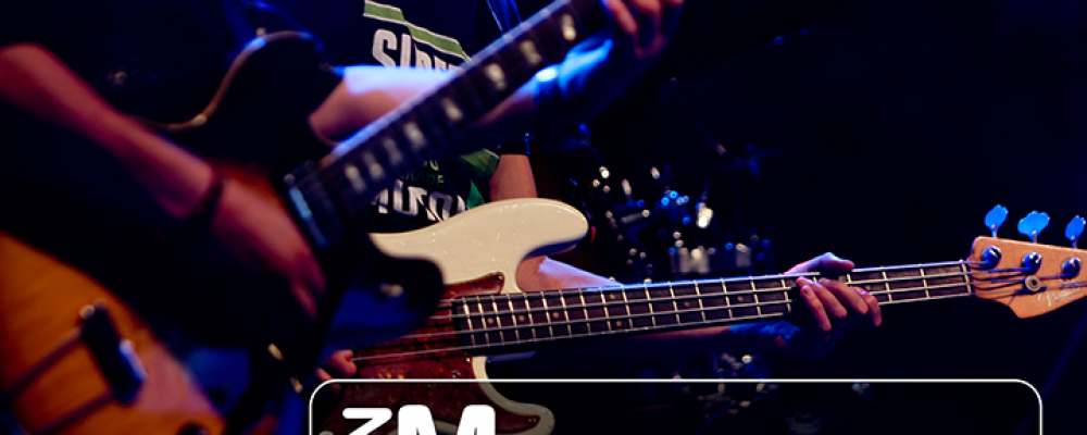 MNMusicians.com is here to support the local music community in Minnesota